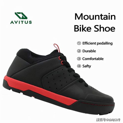 Avitus 專業山地公路騎行鞋與運動服定制開發