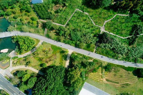 開門紅！天尚設(shè)計成功中標余村“兩山”示范區(qū)鄉(xiāng)村旅游項目，助力綠道三期規(guī)劃與旅游開發(fā)